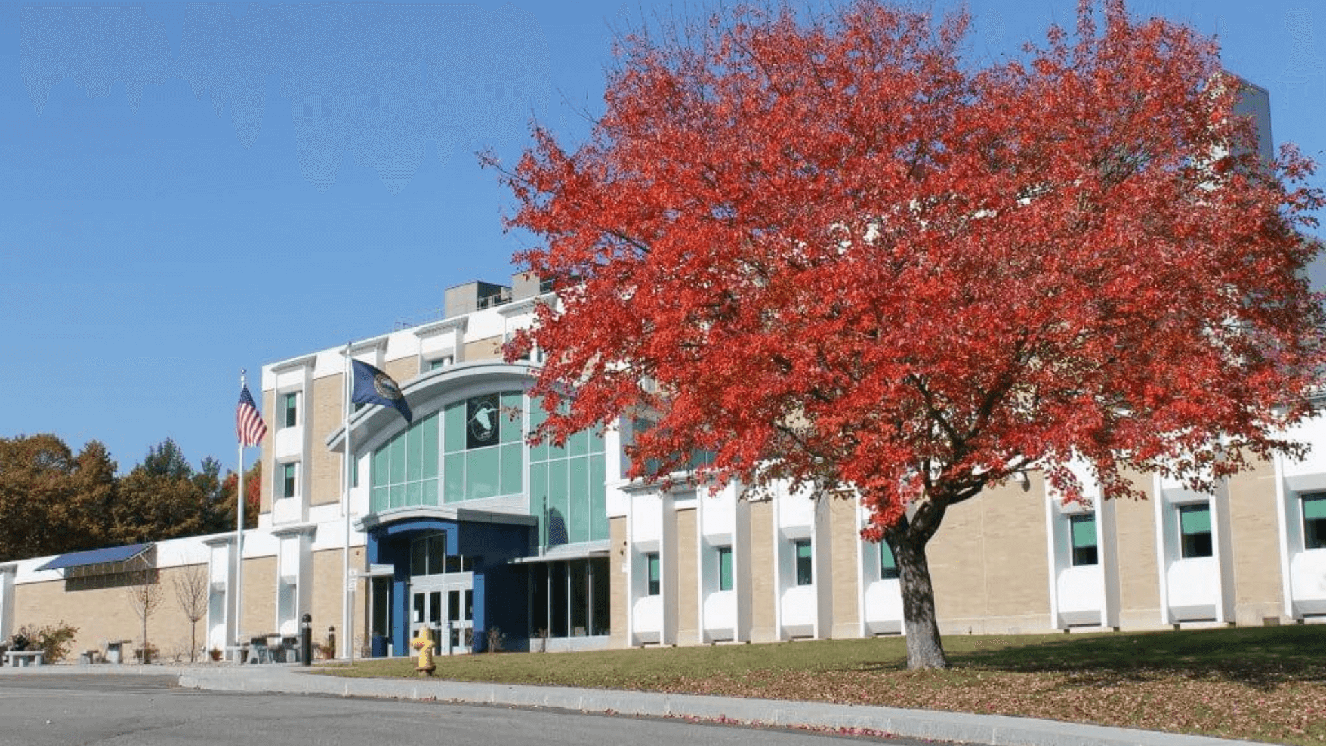 No Logo - Fall Background